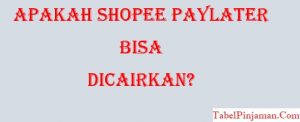 Apakah Shopee Paylater Bisa Dicairkan