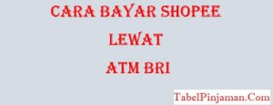 Cara Bayar Shopee Lewat ATM BRI
