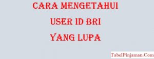 Cara Mengetahui User ID BRI Kita Yang Lupa