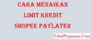 Cara Menaikan Limit Shopee Paylater