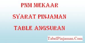 Syarat Pinjaman PNM Mekaar