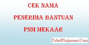 Cek Nama Penerima Bantuan PNM Mekar