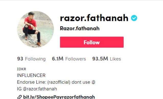 Berapa Followers Agar Bisa Dapat Uang di TikTok