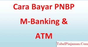 Cara Bayar PNBP Lewat Mobile Banking BRI