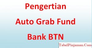 Pengertian Auto Grab Fund